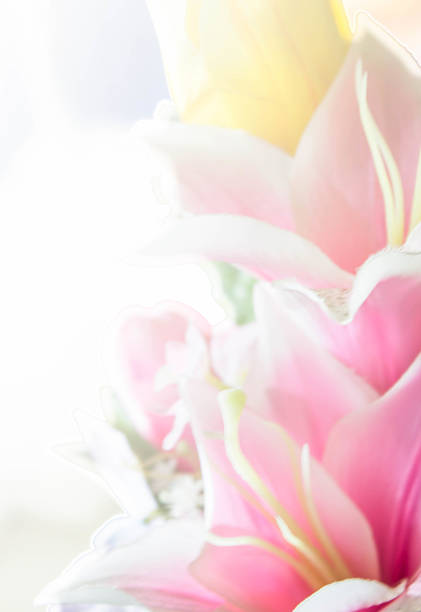 istock flowers in blur style for background 502805200