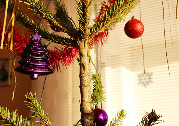 Christmas tree with purple and red decorations stock photo