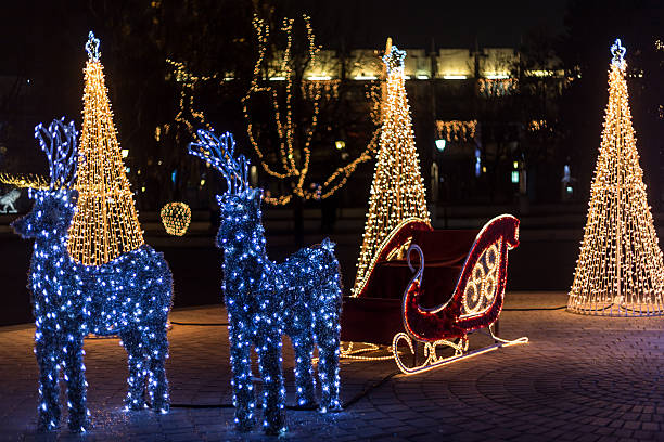istock Reindeer covered in Christmas lights 502809414