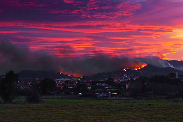 fire near houses in Berango and Sopelana fire near houses in Berango and Sopelana at sunrise sopelana stock pictures, royalty-free photos & images