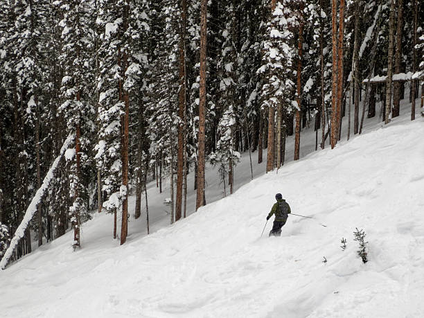 istock Skier next to the treeline at Purgatory resort 502813490