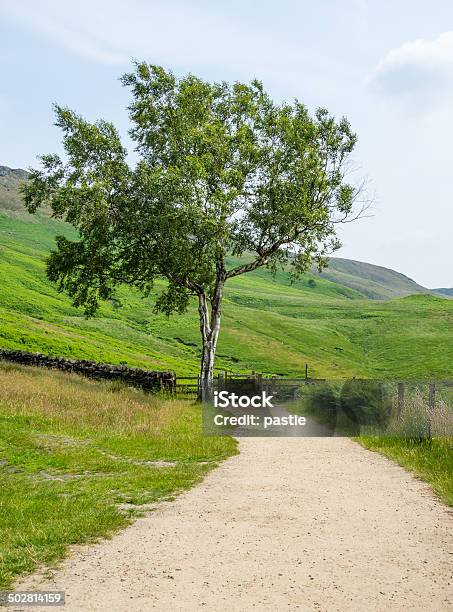 Sommer Weg Und Gateway Stockfoto und mehr Bilder von Abgeschiedenheit - Abgeschiedenheit, Anhöhe, Baum