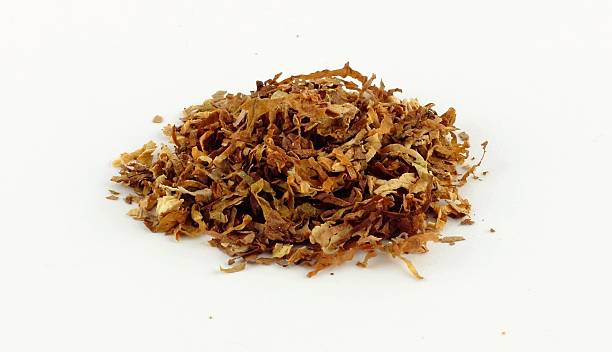 istock Tobacco of a cigarette 502814593