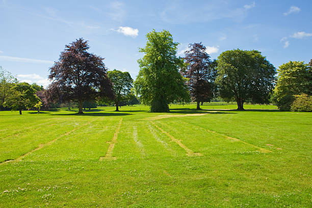 Fyvie Castle Garden -Scotland stock photo