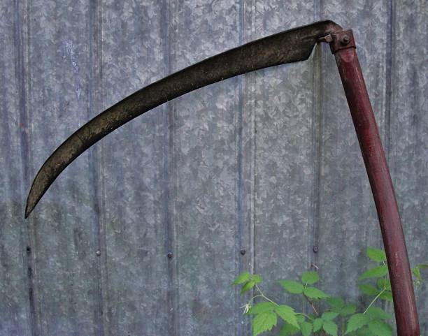 istock Vintage Traditional Scythe 502817673