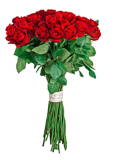 istock Colorful flower bouquet from red roses isolated on white backgro 502819081