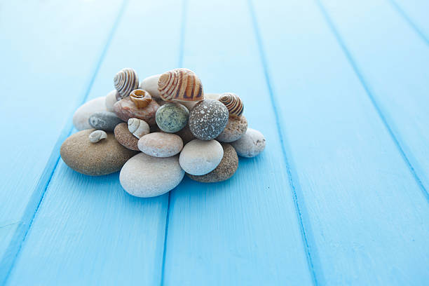 istock Pile of stones and a large sea shell 502819440
