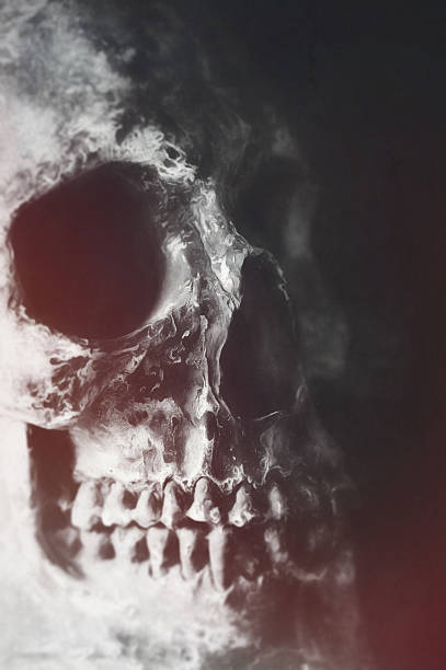 istock Digital art, paint effect, cracked and damaged human skull 502819532
