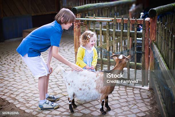 Happy Kids Petting A Goat In Zoo Stock Photo - Download Image Now - Animal, Animal Wildlife, Boys