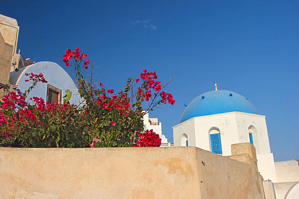 istock In a greek village 502820793
