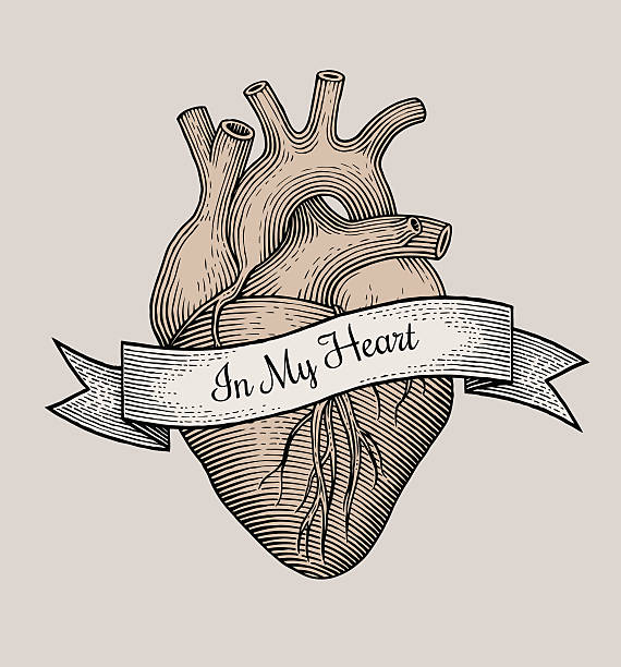 Engraving vector heart vector art illustration