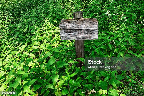 Weathered Wooden Sign Stock Photo - Download Image Now - Blank, Blank Sign, Color Image