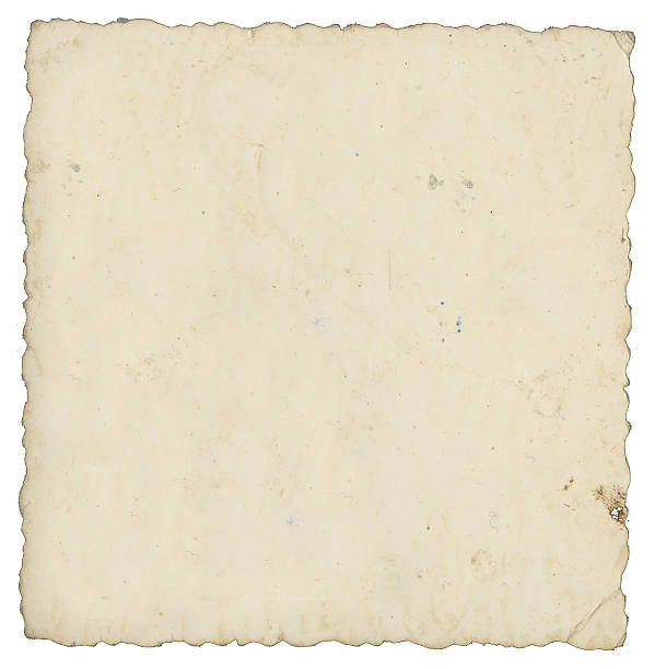 istock Old damaged photograph 502820877