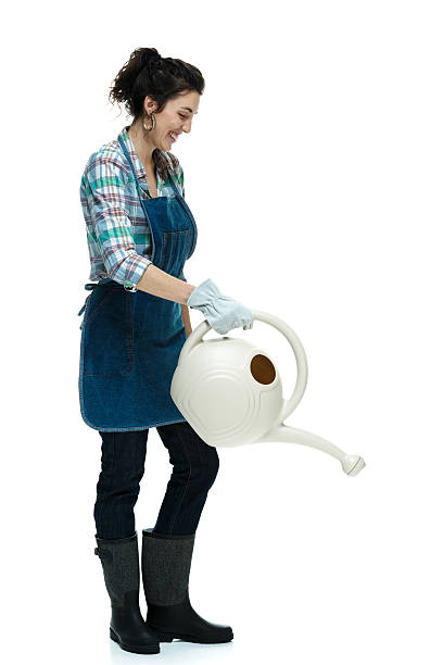 istock Smiling woman watering plants 502820923