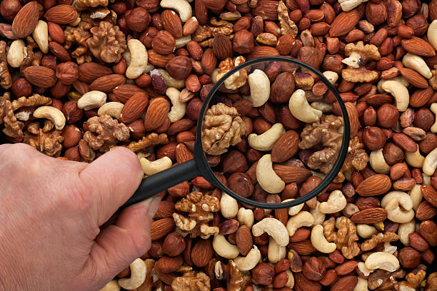 homme de main tenant une loupe sur les fruits à coque - peanut legume textured effect fat photos et images de collection