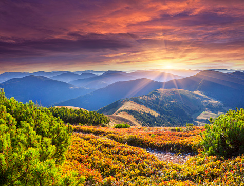 Colorful autumn sunrise in the Carpathian mountains. Geolocation 48.494312,23.751068