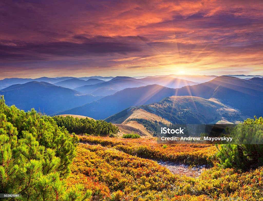 Colorful autumn sunrise in the Carpathian mountains. Colorful autumn sunrise in the Carpathian mountains. Geolocation 48.494312,23.751068 Mountain Stock Photo