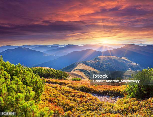 Colorful Autumn Sunrise In The Carpathian Mountains Stock Photo - Download Image Now