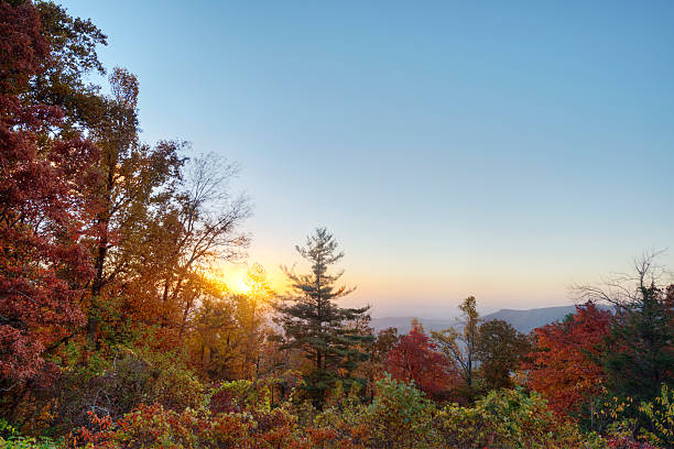 istock Sunrise in the Blue Ridge Mountains 502836616