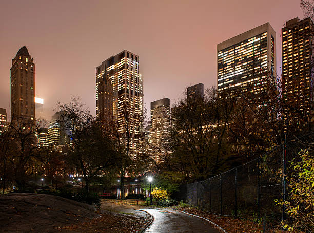 istock View on Manhattan from Central Park at night 502839190