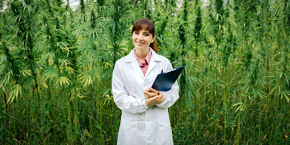 Confident female doctor with clipboard posing in a hemp field, alternative herbal medicine concept