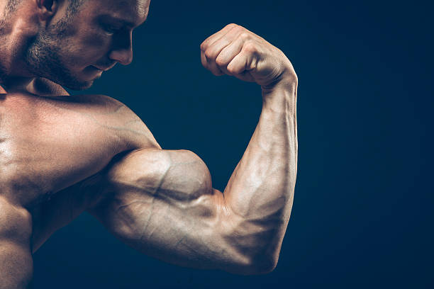 istock The athlete shows his beautiful body on black background 502839824