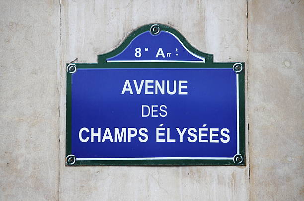 istock Champs Elysees street sign in Paris 502843956