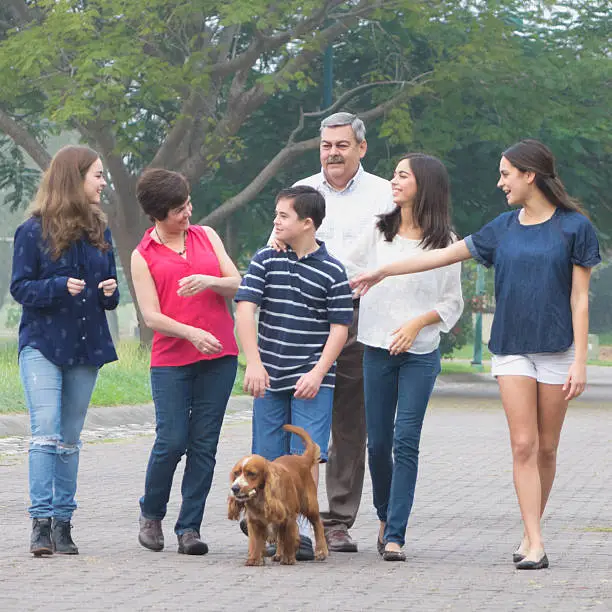 Family of six and their dog talking a walk.