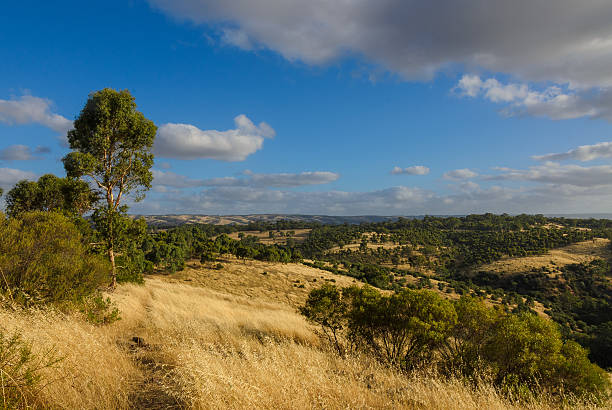 istock Cloudy Australian rural landscape with hills in background 502846462