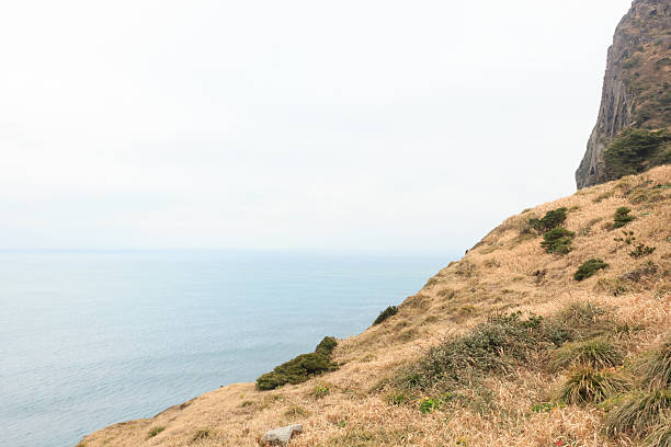 istock Jeju Island  South Korea 502848046