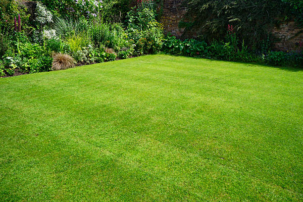 garden a lush english garden in summer lawn stock pictures, royalty-free photos & images