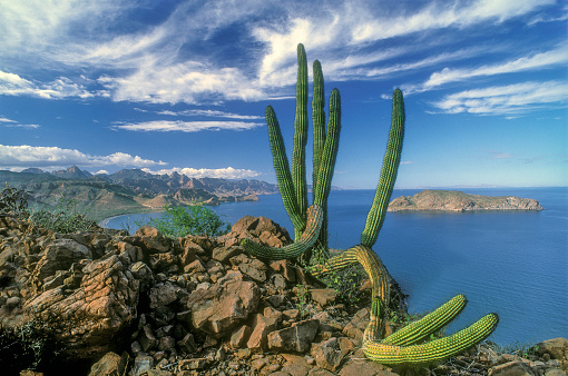 Beautiful southern coast of Baja California Sur with a view of the Sea of Cortez and the Sierra de la Giganta, Mexico.