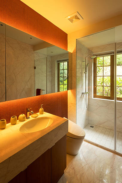 istock interior of modern toilet 502851708