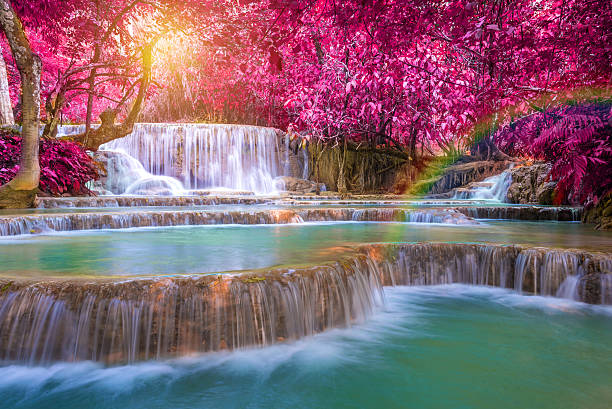 워터풀 레인 포레스트 (tat 광시, prabang, laos. - awe beauty in nature waterfall cool 뉴스 사진 이미지