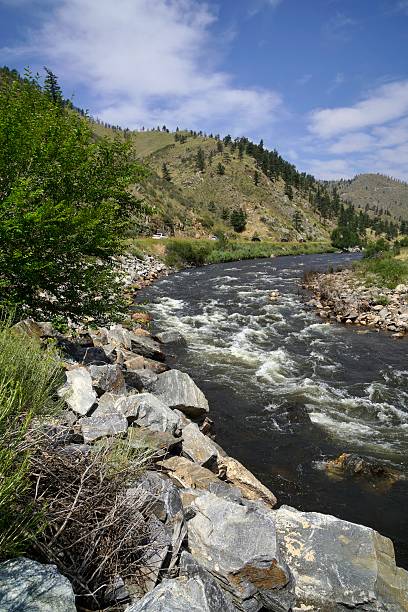 istock Poudre River, Fort Collins, Colorado 502858305