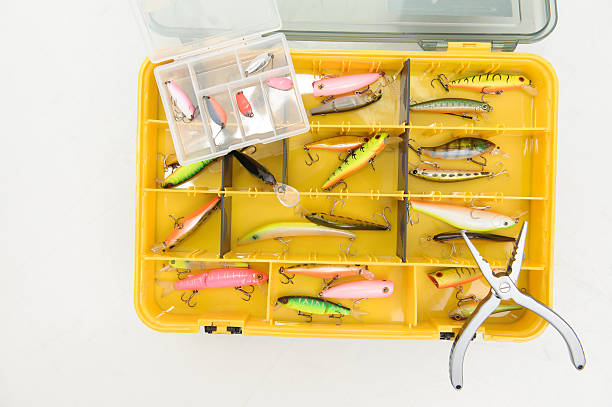 istock Fishing is always pleasure 502859167