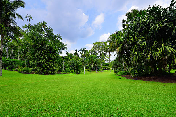 istock Beauty Peaceful Garden 502859544