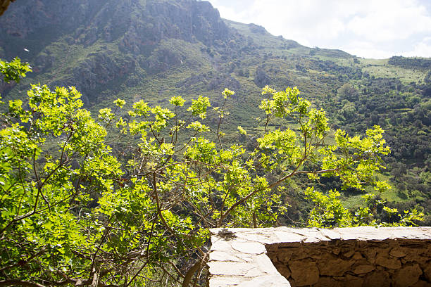 Viewpoint from Aga Sofia Cave showing Topolia Gorge in western Crete