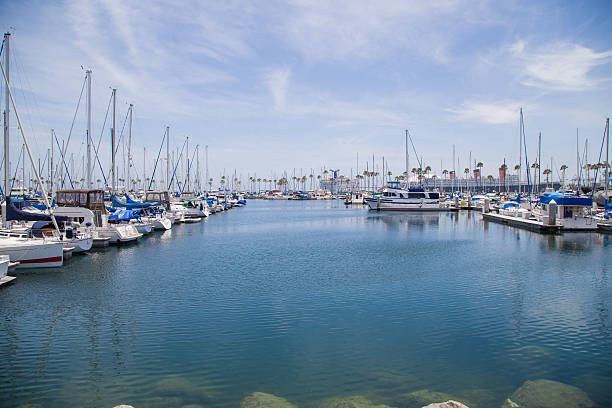 istock Sailboats in Long Beach Harbor 502860965