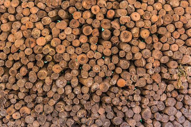 istock Firewood stacked up in a pile for kindle 502861054