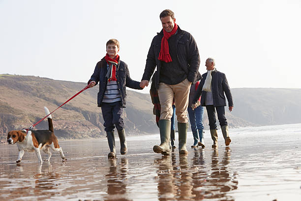 istock Multi Generation Family Walking On Winter Beach With Dog 502861061
