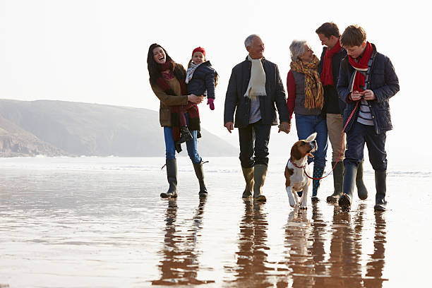 multi-generation-familie gehen am strand mit hund winter - photography nature animals and pets beach stock-fotos und bilder