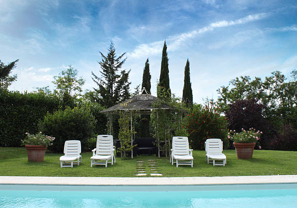 istock Relaxing location by the swimming pool under a blue sky 502861657