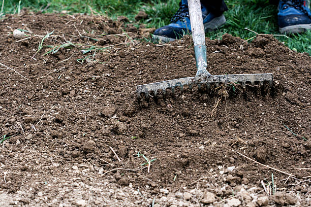 istock Man rakening garden bed 502862524