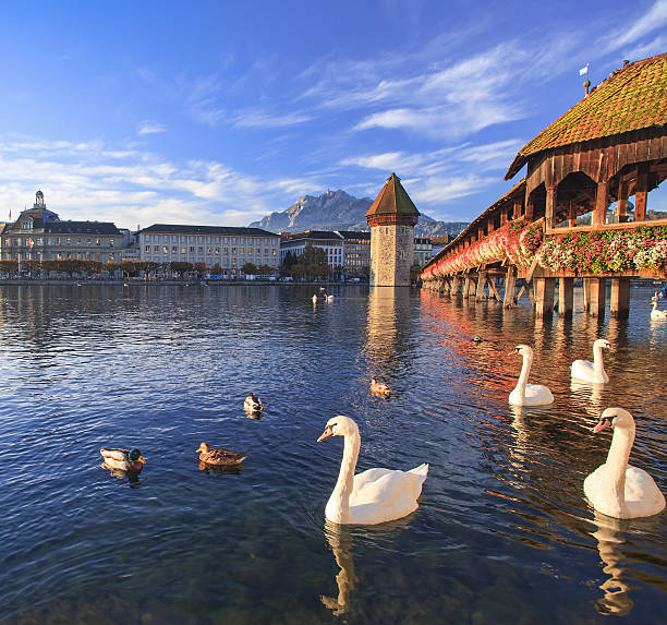 istock Lucerne, the Chapel Bridge in early morning 502863667