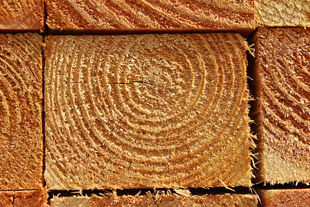 Photo showing some timber woodgrain circles on cut square wooden fence posts, that are piled up to form a regular geometric pattern outside in a timberyard.