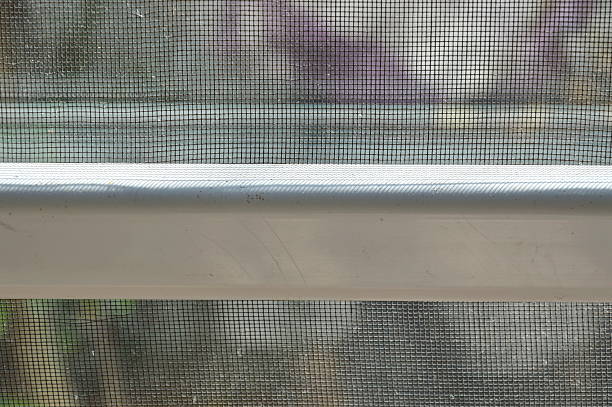 istock shadow of mosquito net on door frame 502873498