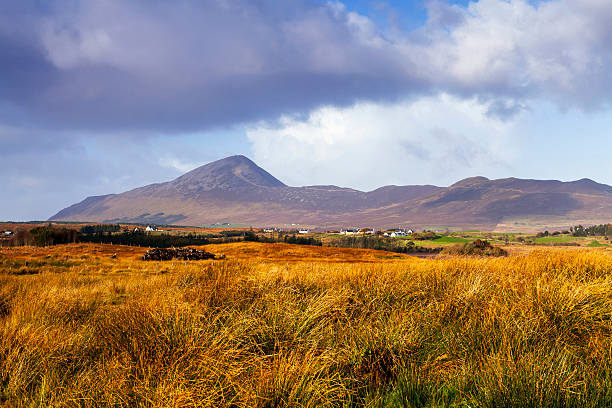 croagh patrick - croagh patrick zdjęcia i obrazy z banku zdjęć