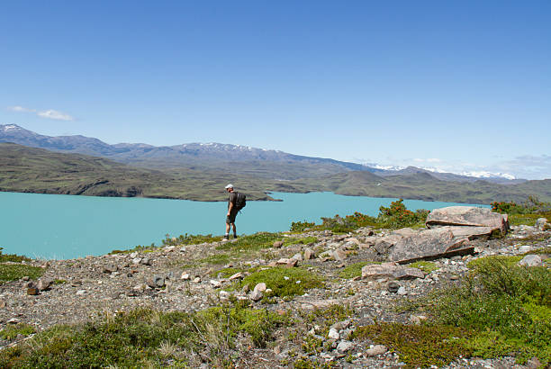 istock Hiker in Torres del Paine, Chile 502886368