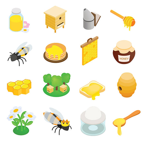 ilustraciones, imágenes clip art, dibujos animados e iconos de stock de apiary isométrica 3d icono - honeyed